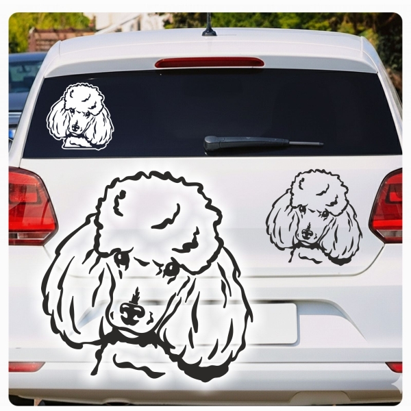 Pudel Zwergpudel Auto Aufkleber Sticker Hund Pfoten A4100
