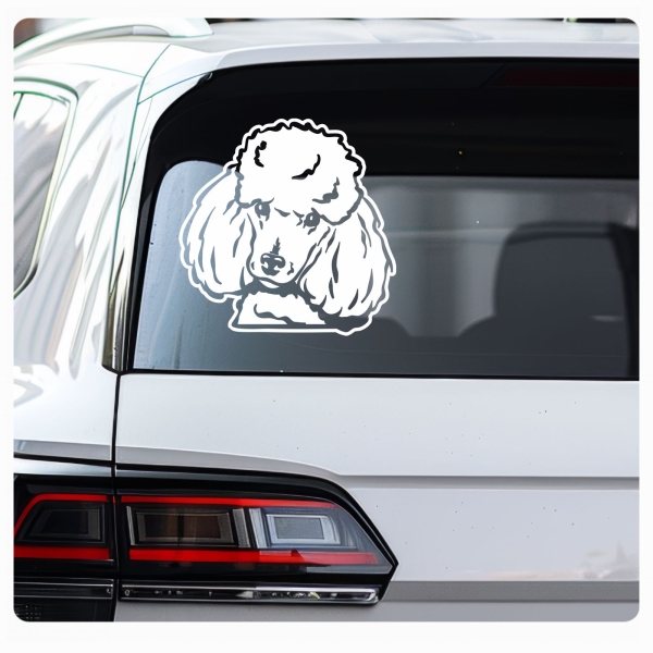 Pudel Zwergpudel Auto Aufkleber Sticker Hund Pfoten A4100