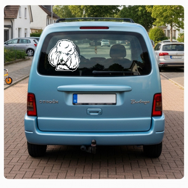 Pudel Zwergpudel Auto Aufkleber Sticker Hund Pfoten A4100