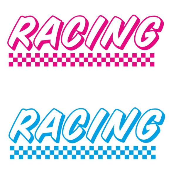 Racing Flag Auto Aufkleber Sticker Schriftzug A823