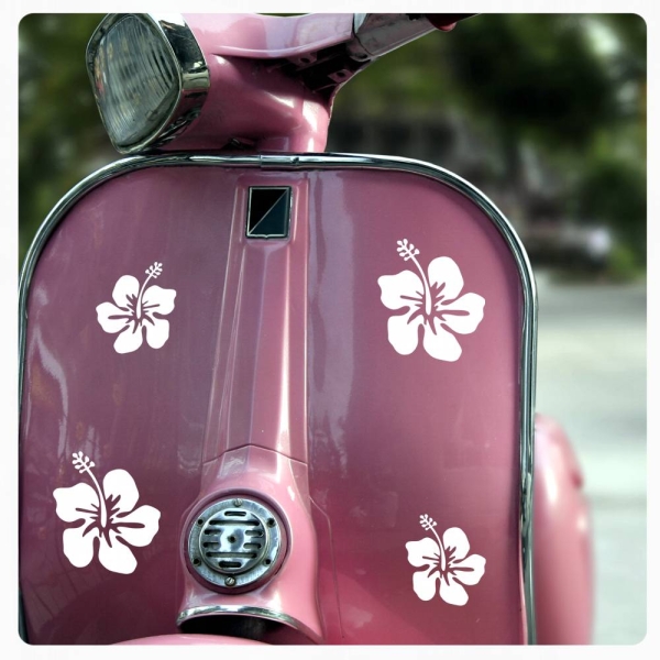 Hibiskus Hibiscus Blumen Blüten Roller Aufkleber Sticker Auto 63 Motive R001