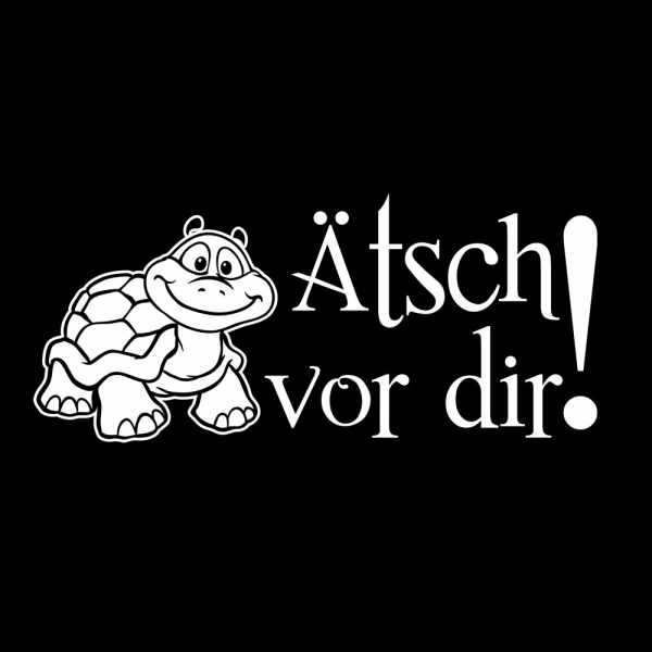 Ätsch vor dir! Wohnmobil Aufkleber Wohnwagen Caravan Turtle Schildkröte Sticker WoMo009