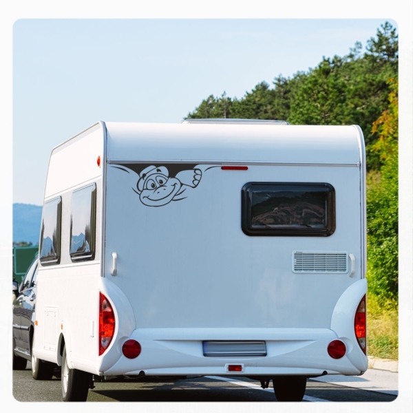 Schildkröte Sticker Aufkleber Autoaufkleber lustig Wohnmobil Aufkleber Caravan Sticker WoMo162