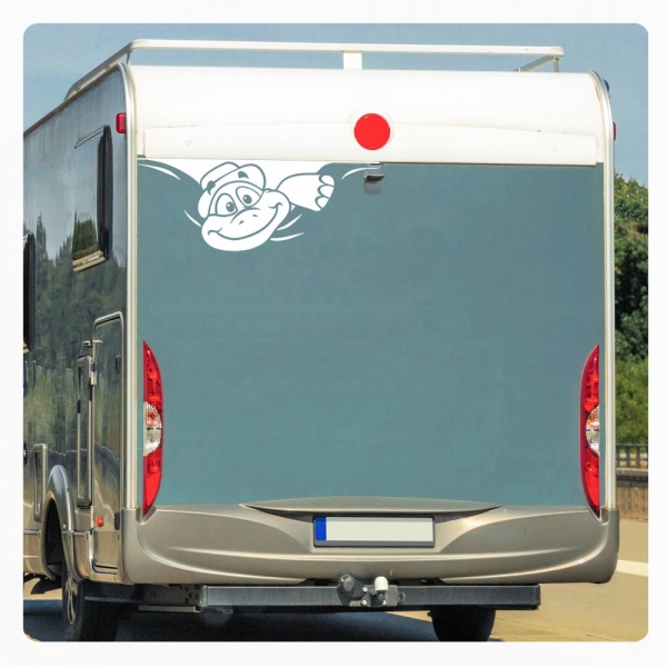 Schildkröte Sticker Aufkleber Autoaufkleber lustig Wohnmobil Aufkleber Caravan Sticker WoMo162