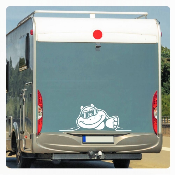 Schildkröte Sticker Aufkleber Autoaufkleber schaut raus Cool WoMo188