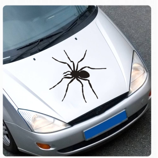 Spinne Motorhauben Autoaufkleber Auto Aufkleber Sticker A1063