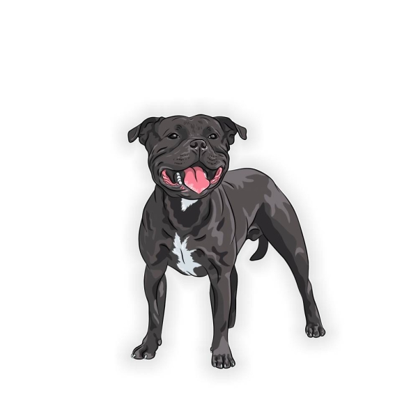 Auto Aufkleber Staffordshire Bull Terrier Hund Pfoten Sticker Digitaldruck DA524