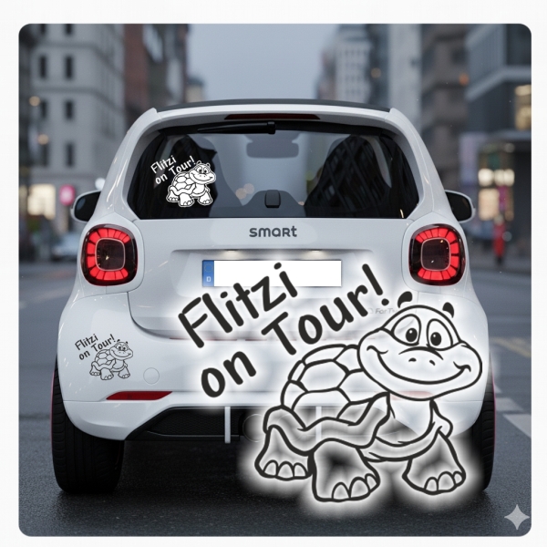 Name Text on Tour! Autoaufkleber Schildkröte Sticker Auto Aufkleber A1242