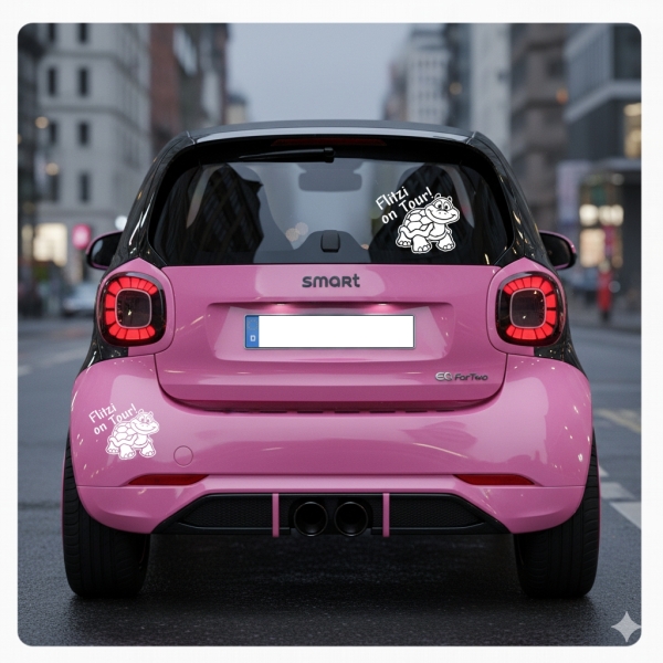 Name Text on Tour! Autoaufkleber Schildkröte Sticker Auto Aufkleber A1242