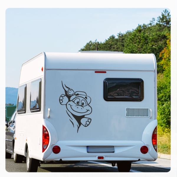 Schildkröte mit Hut schaut raus Wohnmobil Aufkleber Wohnwagen Sticker WoMo257