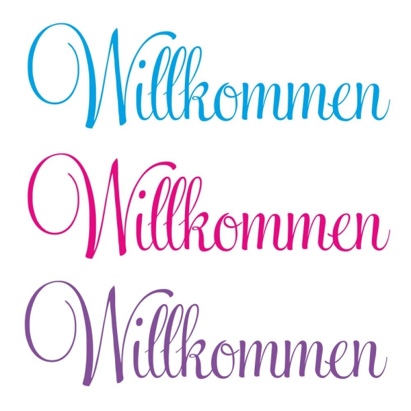 Willkommen Wandtattoo Wandaufkleber Wandsticker Flur W632