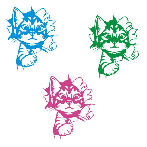 Katze Kitty kommt durch die  Wand Wohnmobil Aufkleber Wohnwagen Sticker WoMo203