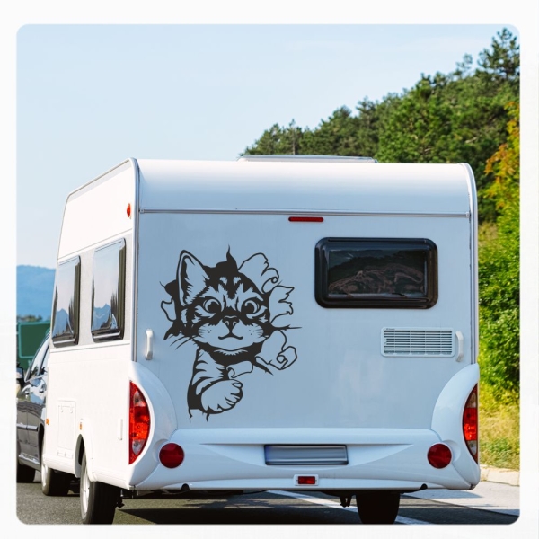 Katze Kitty kommt durch die  Wand Wohnmobil Aufkleber Wohnwagen Sticker WoMo203