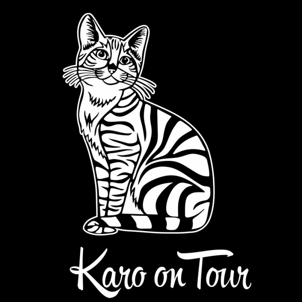 Katze Name on Tour Wohnmobil Aufkleber Wohnwagen Sticker WoMO WoMo006