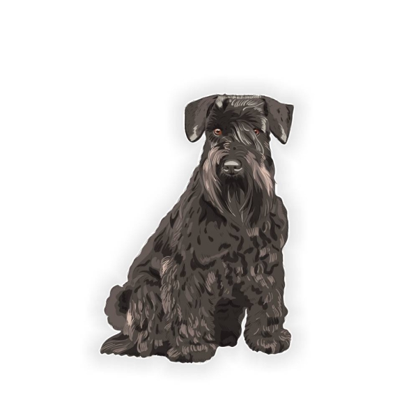 Autoaufkleber Zwergschnauzer Schnauzer Auto Aufkleber Hund Digitaldruck DA530