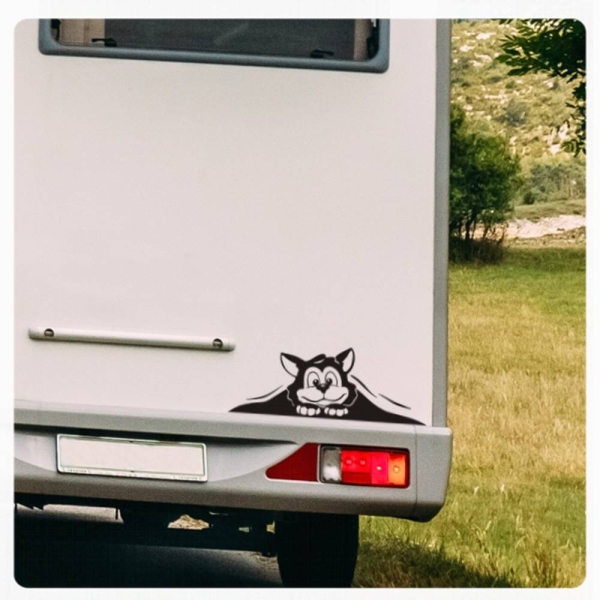 Wohnmobil Aufkleber neugierige Katze WoMo Caravan Aufkleber Sticker WoMo137