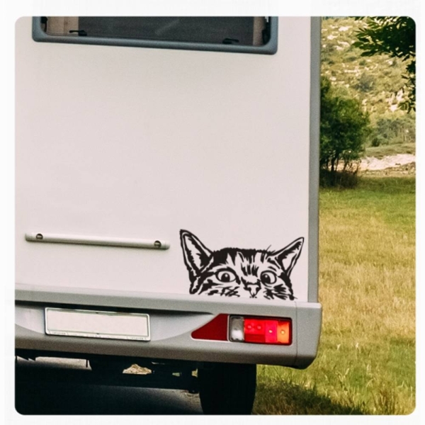 Wohnmobil Aufkleber neugierige Katze WoMo Caravan Aufkleber Sticker WoMo136