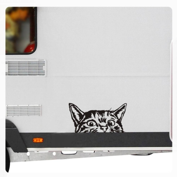 Wohnmobil Aufkleber neugierige Katze WoMo Caravan Aufkleber Sticker WoMo136