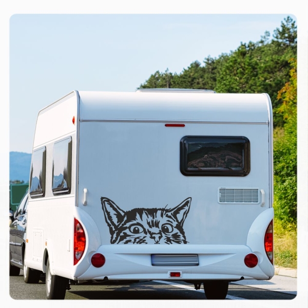 Wohnmobil Aufkleber neugierige Katze WoMo Caravan Aufkleber Sticker WoMo136