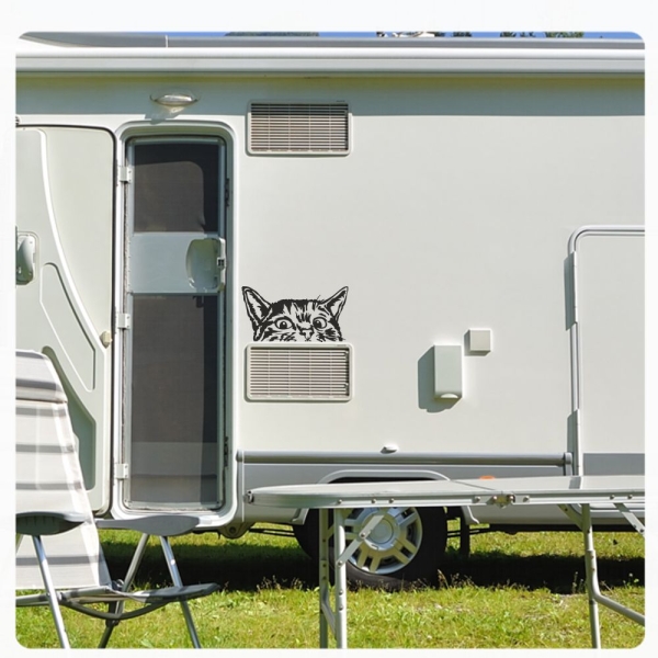 Wohnmobil Aufkleber neugierige Katze WoMo Caravan Aufkleber Sticker WoMo136