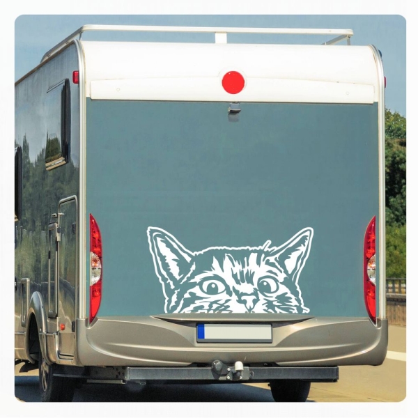 Wohnmobil Aufkleber neugierige Katze WoMo Caravan Aufkleber Sticker WoMo136