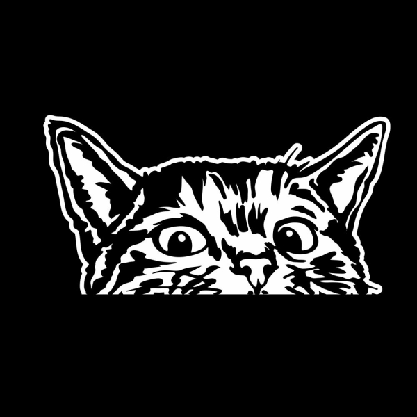 Wohnmobil Aufkleber neugierige Katze WoMo Caravan Aufkleber Sticker WoMo136