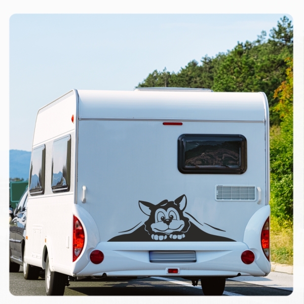 Wohnmobil Aufkleber neugierige Katze WoMo Caravan Aufkleber Sticker WoMo137
