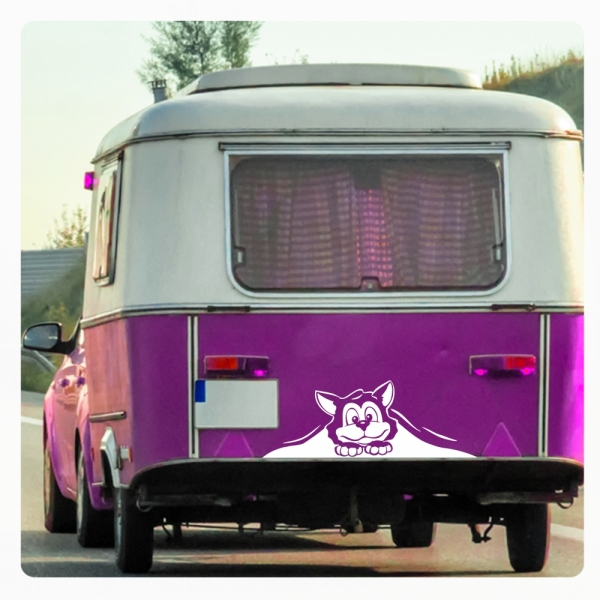 Wohnmobil Aufkleber neugierige Katze WoMo Caravan Aufkleber Sticker WoMo137