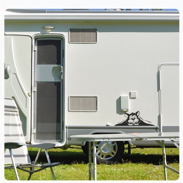 Wohnmobil Aufkleber neugierige Katze WoMo Caravan Aufkleber Sticker WoMo137