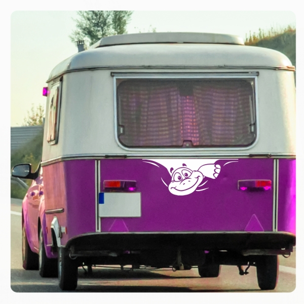 Schildkröte Sticker Aufkleber Autoaufkleber lustig  WoMo051